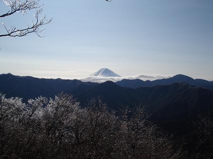f:id:Argon:20080113214940j:image