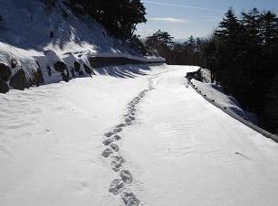 f:id:Argon:20080127224038j:image