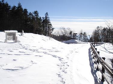 f:id:Argon:20080127224042j:image