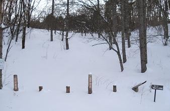 f:id:Argon:20080211095555j:image