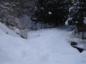 f:id:Argon:20080211095556j:image