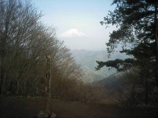 f:id:Argon:20080427183613j:image