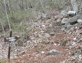 f:id:Argon:20080430154701j:image