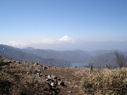 f:id:Argon:20080430154704j:image