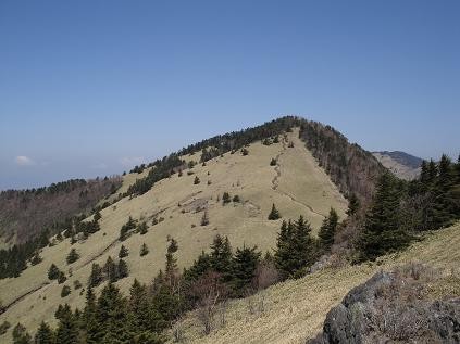f:id:Argon:20080430154706j:image