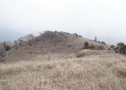 f:id:Argon:20080430154710j:image