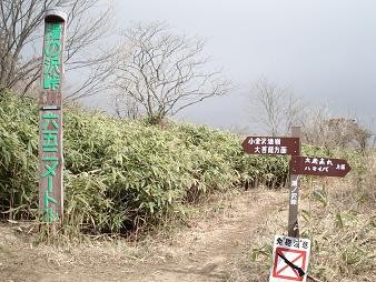 f:id:Argon:20080430154711j:image