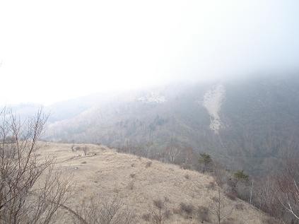 f:id:Argon:20080430154712j:image