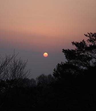 f:id:Argon:20080430154715j:image