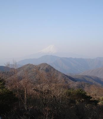 f:id:Argon:20080430154717j:image