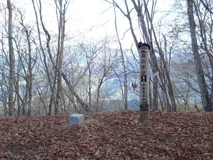 f:id:Argon:20080504132123j:image