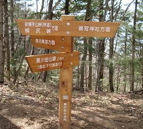 f:id:Argon:20080507190532j:image
