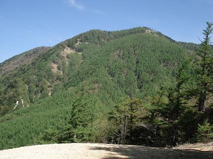 f:id:Argon:20080528194210j:image