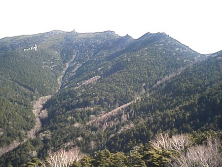 f:id:Argon:20081123204815j:image