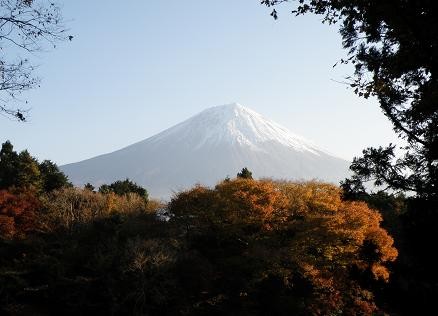 f:id:Argon:20081126171455j:image
