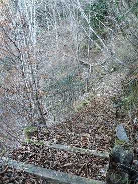 f:id:Argon:20081207175715j:image