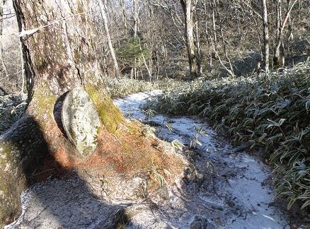 f:id:Argon:20081225201337j:image