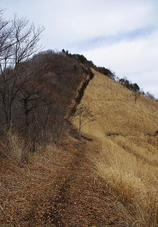 f:id:Argon:20090126203027j:image