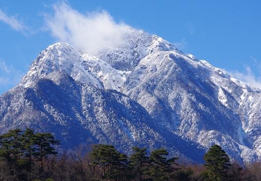 f:id:Argon:20090201194620j:image:w450