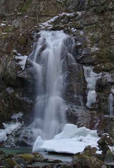 f:id:Argon:20090201194627j:image