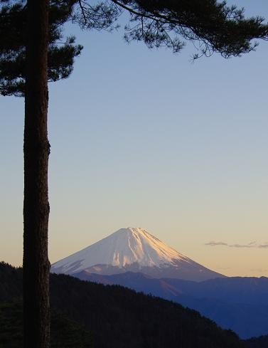 f:id:Argon:20090201194633j:image