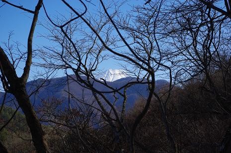 f:id:Argon:20090208160651j:image