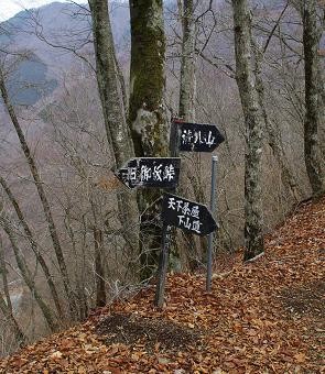 f:id:Argon:20090309121528j:image