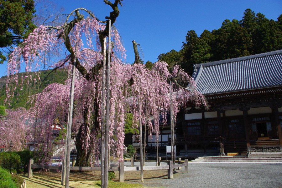 f:id:Argon:20090323083641j:image:w460
