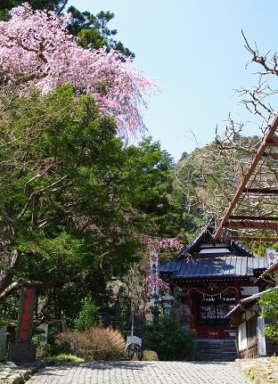 f:id:Argon:20090323114644j:image