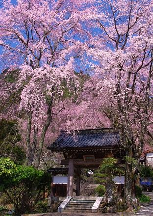 f:id:Argon:20090323115644j:image