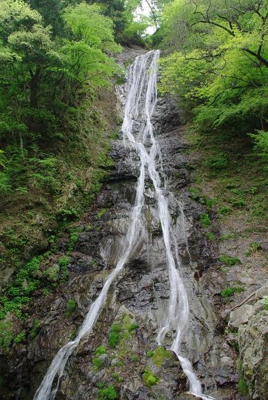 f:id:Argon:20090503141334j:image