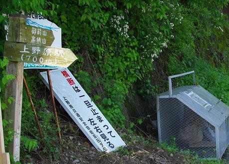 f:id:Argon:20090510104037j:image:w460