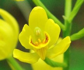 f:id:Argon:20090510122736j:image