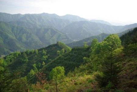 f:id:Argon:20090510153050j:image:w460