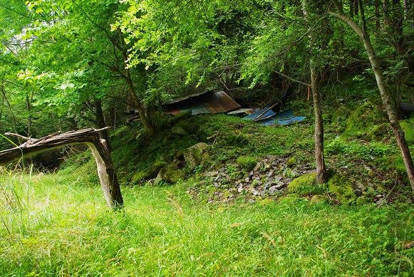f:id:Argon:20090712144529j:image:w460