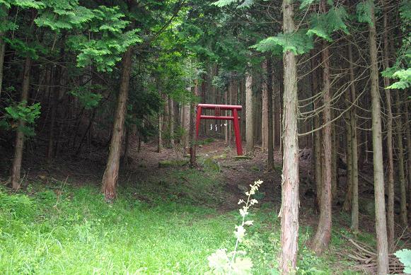 f:id:Argon:20090712154740j:image:w460