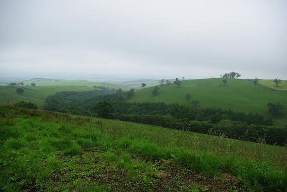 f:id:Argon:20090721082103j:image:w460