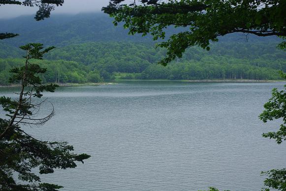 f:id:Argon:20090721094636j:image:w460