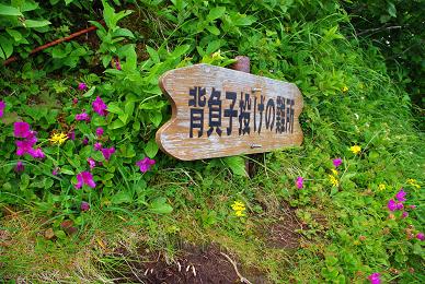 f:id:Argon:20090726081906j:image