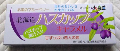f:id:Argon:20090805142510j:image