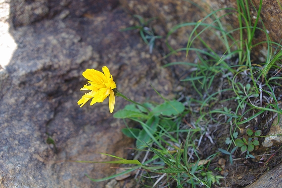 f:id:Argon:20090815002935j:image:w460