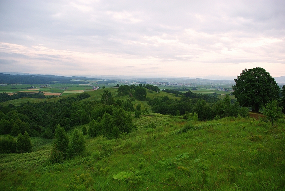 f:id:Argon:20090815205557j:image:w460