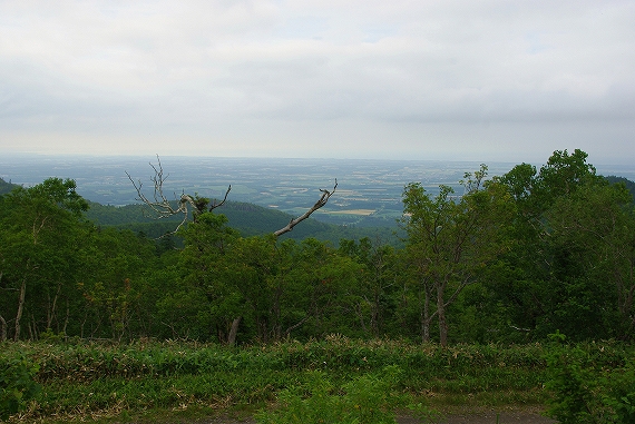 f:id:Argon:20090817203328j:image:w460