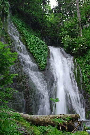 f:id:Argon:20090817204756j:image