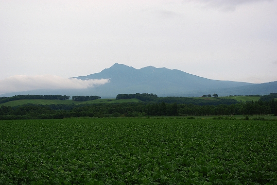 f:id:Argon:20090817205715j:image:w460