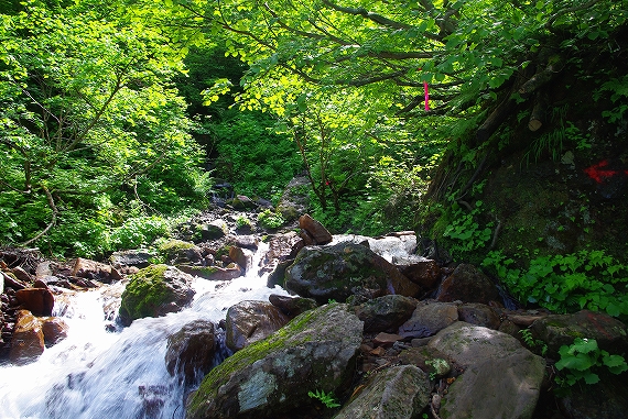 f:id:Argon:20090817215831j:image:w460 f:id:Argon:20090817215831j:image:w460