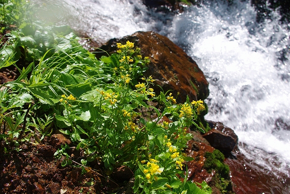 f:id:Argon:20090817220759j:image:w460 f:id:Argon:20090817220759j:image:w460