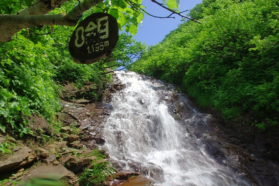 f:id:Argon:20090817221540j:image:w460 f:id:Argon:20090817221540j:image:w460