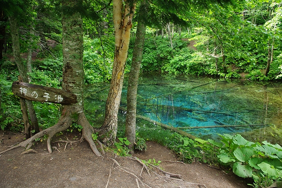 f:id:Argon:20090818194402j:image:w460