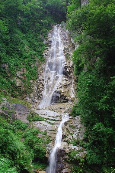 f:id:Argon:20090823205816j:image